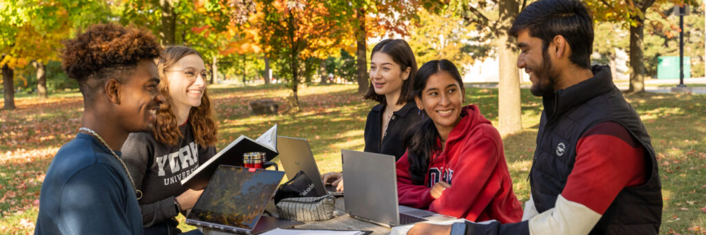 Students studying outside during fall.